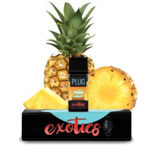 Piña Cooler 2