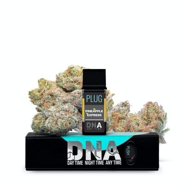 Pineapple-Express-Plug-n-Play-600x600 Pineapple Express 3