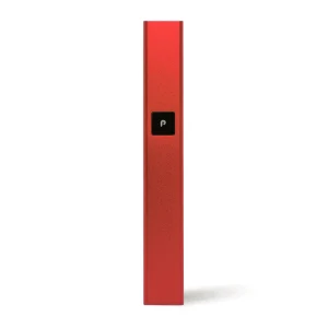 PLAY Battery Kit 2g
